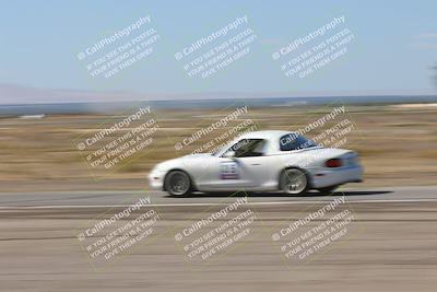 media/Oct-04-2025-OnGrid (Sat) [[44bd565ffa]]/Purple Group/Grapevine/